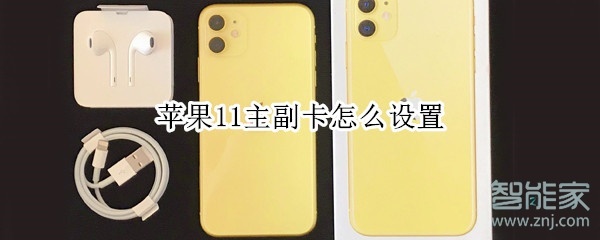 苹果11主副卡怎么设置
