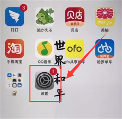 苹果6plus中开启振动的简单步骤