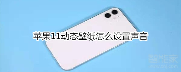 苹果11动态壁纸怎么设置声音