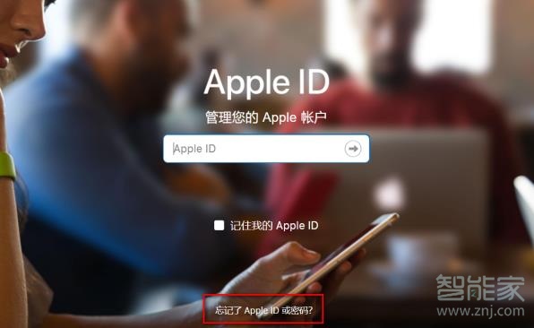 苹果密保忘记怎么更改