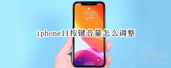 iphone11按键音量怎么调整