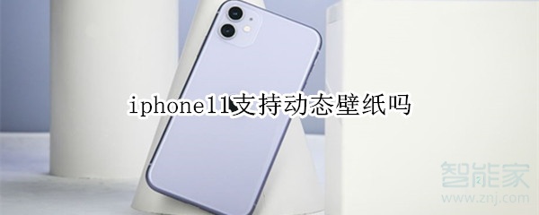 iphone11支持动态壁纸吗