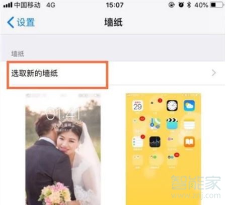 iphone11支持动态壁纸吗