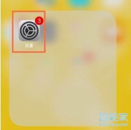 iphone11支持动态壁纸吗