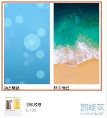 iphone11支持动态壁纸吗