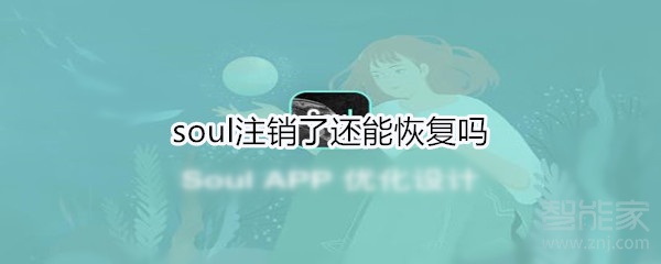 soul注销了还能恢复吗