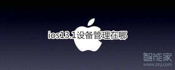 ios13.1设备管理在哪