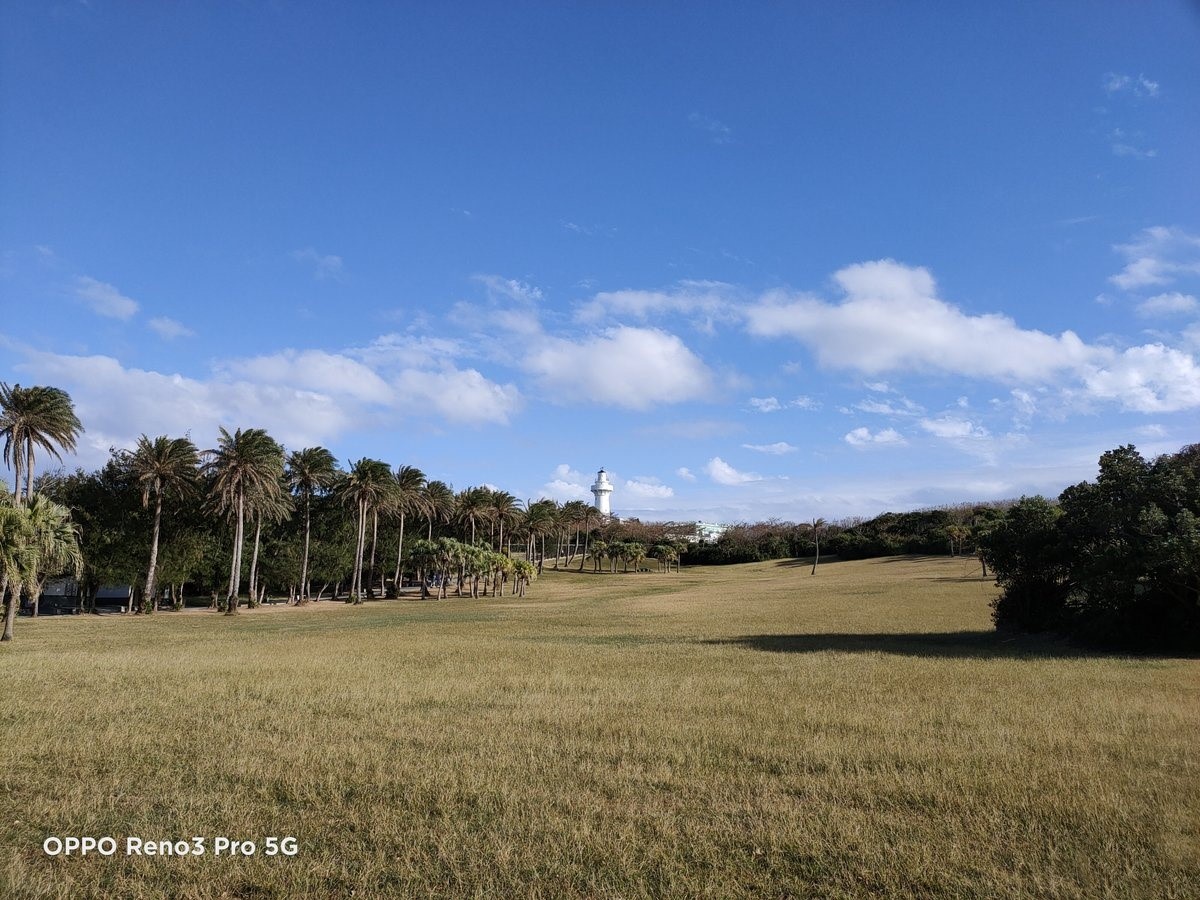 oppo reno3 pro支持几倍变焦 oppo reno3 pro变焦有多少倍