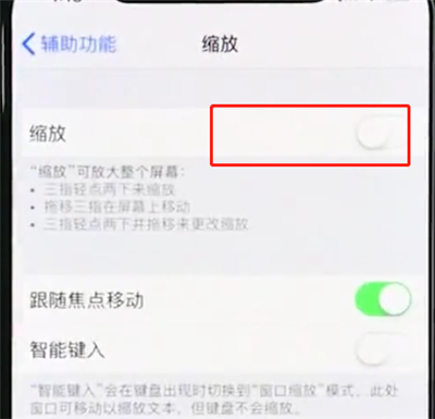 iphonexr中使用缩放的基本操作