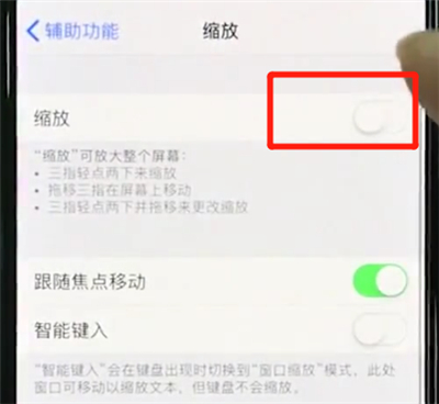 iphonexs中使用缩放的操作教程