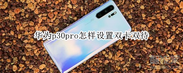 华为p30pro怎样设置双卡双待