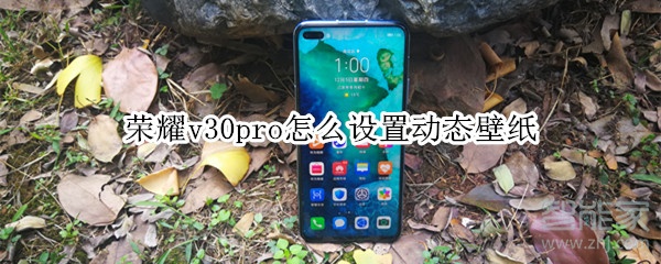 荣耀v30pro怎么设置动态壁纸