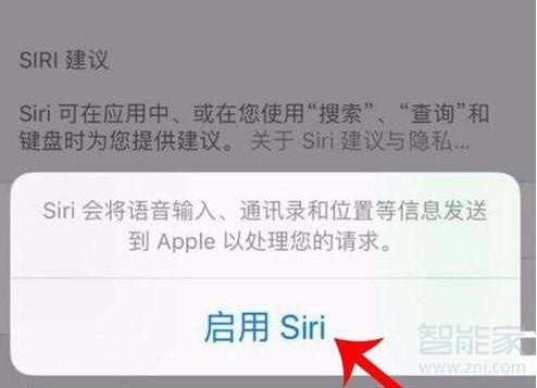 苹果11语音唤醒功能在哪