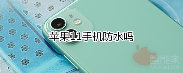 苹果11手机防水吗