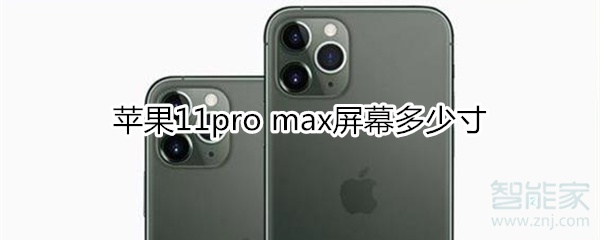 苹果11pro max多少寸