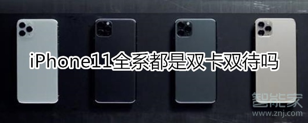 苹果11系列全是双卡双待吗