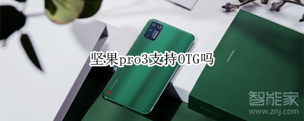 坚果pro3支持OTG吗