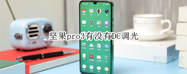 坚果pro3有没有DC调光
