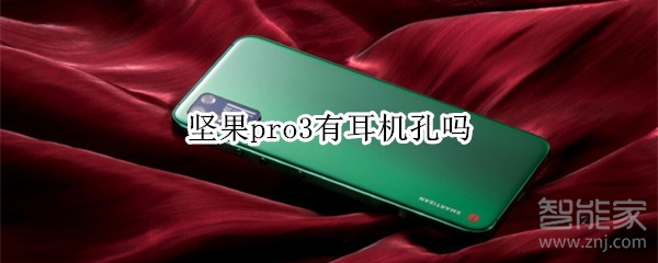 坚果pro3有耳机孔吗