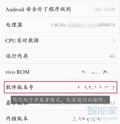 vivos5怎么打开开发者选项