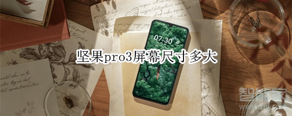 坚果pro3屏幕尺寸多大
