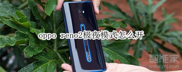 oppo reno2极夜模式怎么开