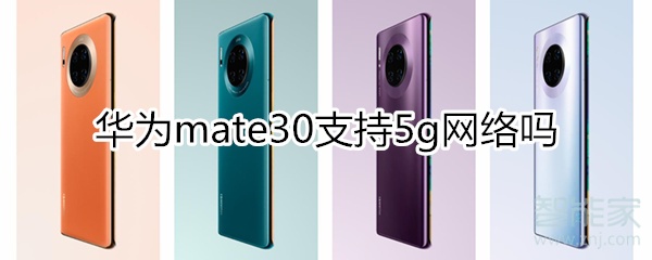 mate30支持5g网络吗