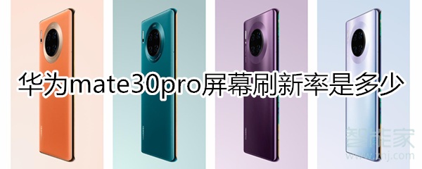 mate30pro屏幕刷新率