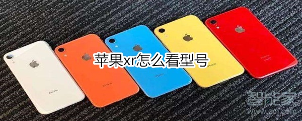 苹果xr怎么看型号