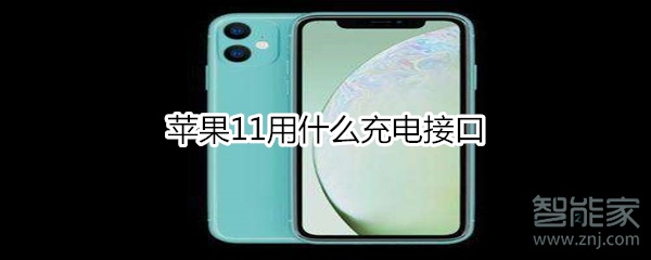 苹果11用什么充电接口