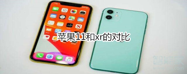 苹果11和xr的对比