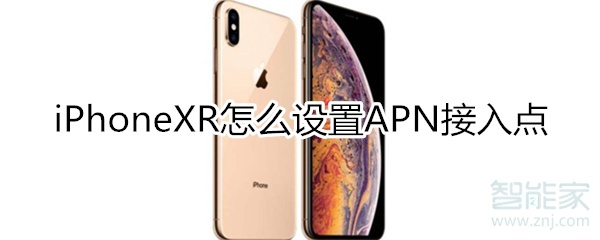 iphonexr设置apn