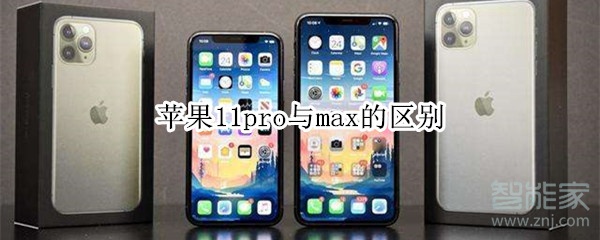 苹果11pro与max的区别