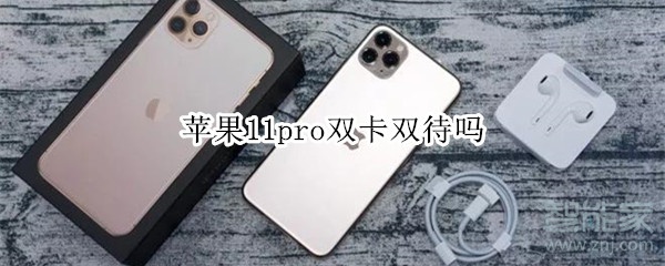 苹果11pro双卡双待吗