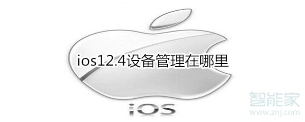 ios12.4设备管理在哪里