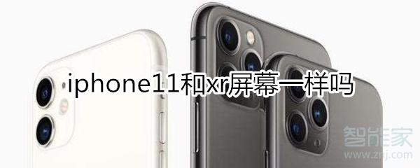 iphone11和xr屏幕一样吗