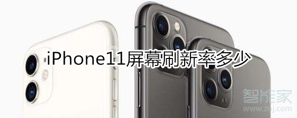 iphone11刷新率