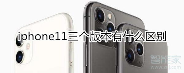 iphone11三个版本区别
