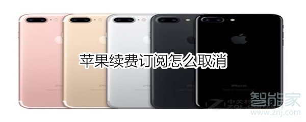 苹果续费订阅怎么取消