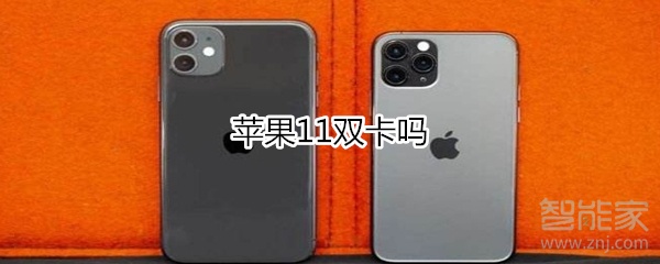 苹果11双卡吗