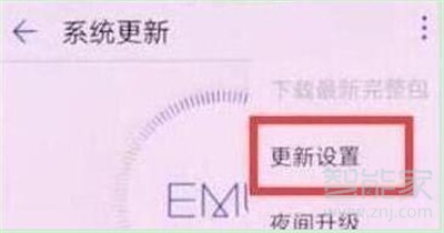 荣耀20s怎么关闭系统自动更新