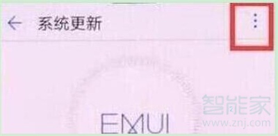 荣耀20s怎么关闭系统自动更新