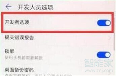 荣耀20s开发者选项怎么打开