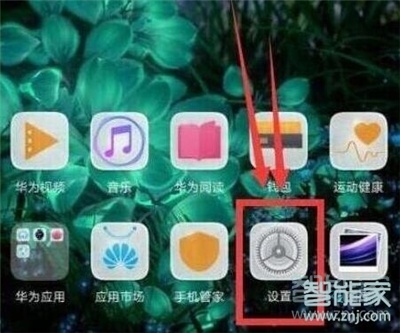 荣耀20s怎么显示步数