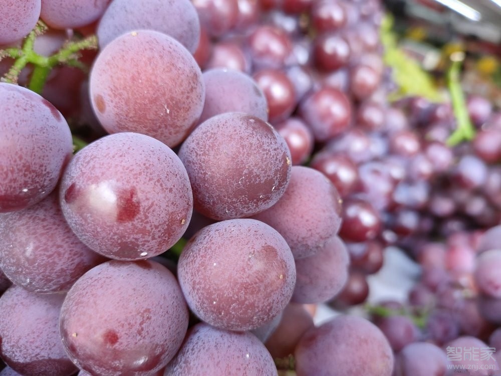 realme Q微距拍照对焦距离是多少