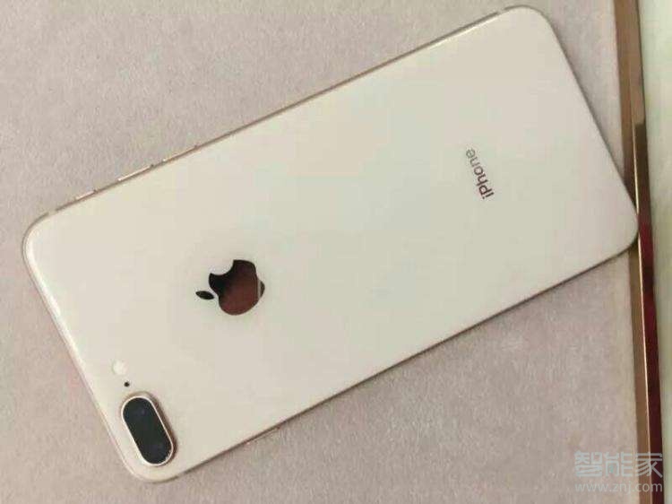 苹果手机应用验证不了是怎么回事