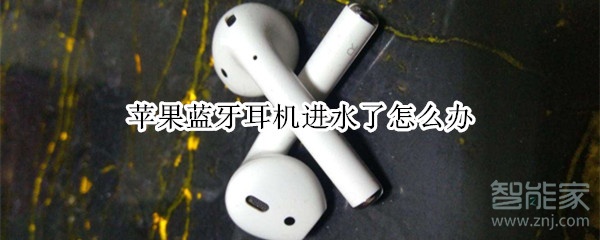 苹果蓝牙耳机进水了怎么办