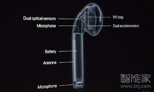 苹果蓝牙耳机尺寸