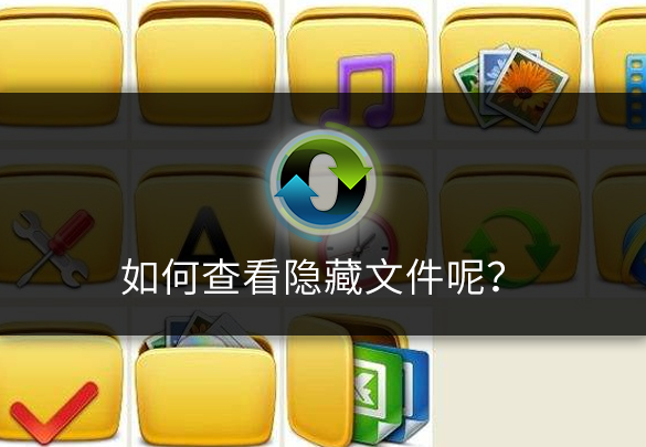 如何查看系统隐藏文件呢?教你一招电脑小技巧