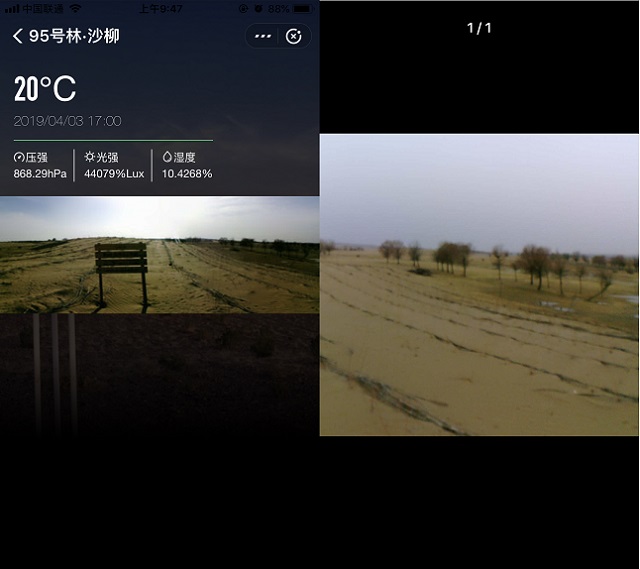 蚂蚁森林怎么看林地实景照片？支付宝蚂蚁森林电子稻草人玩法攻略
